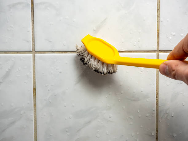 Best Mold Damage Repair  in Napoleon, OH